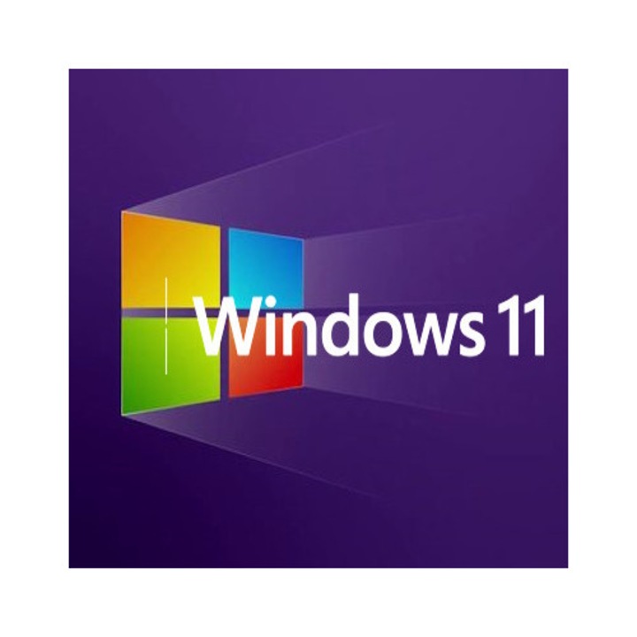 Microsoft Windows 11 Pro, лиценз, USB носител, български език