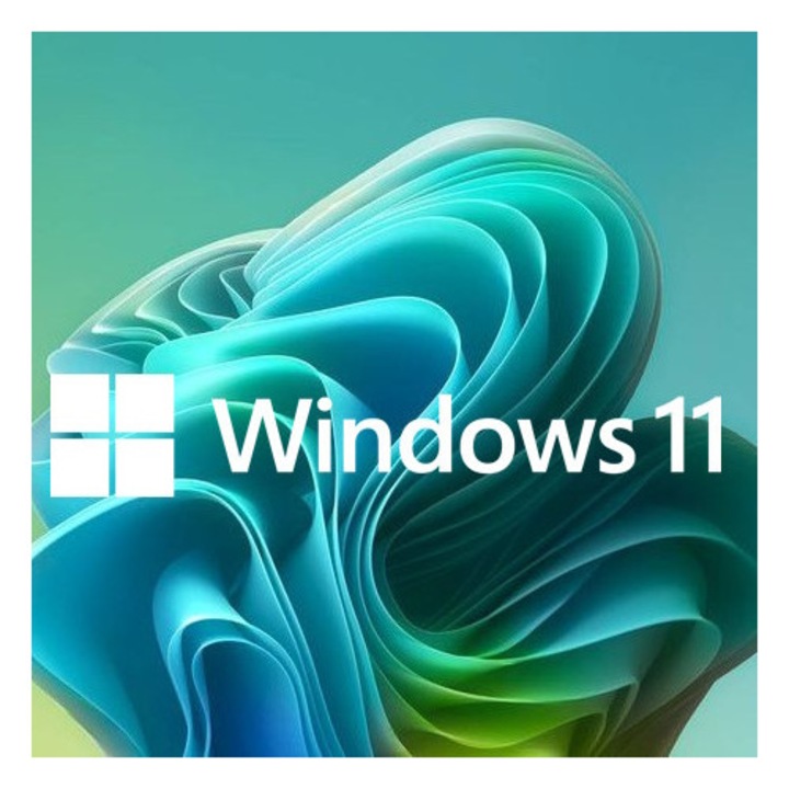 Операционна система, Microsoft, Windows 11 Pro, USB, български език, предназначена за 1 потребител