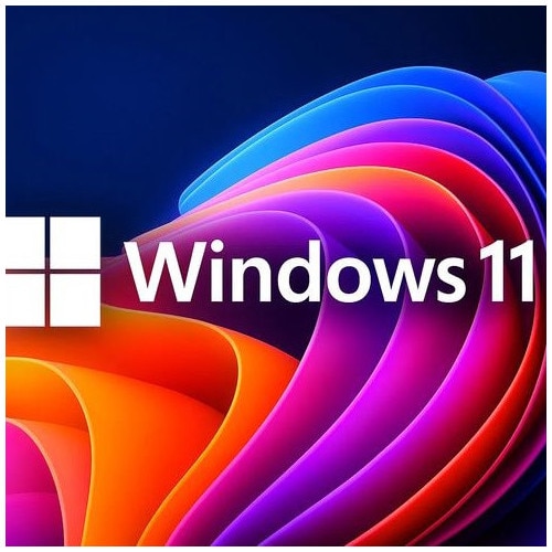 Microsoft® Windows 11 PRO Retail si Office 2024 Pro Plus, Toate