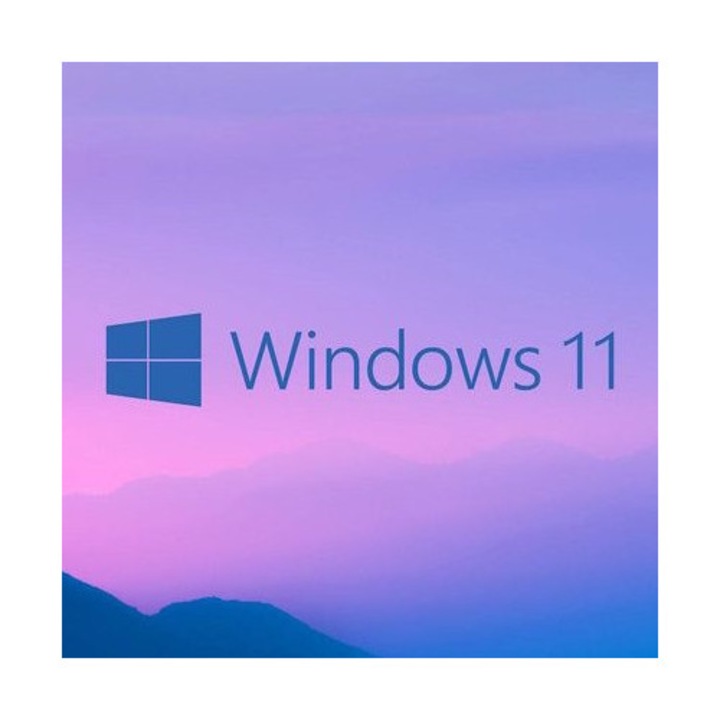 Операционна система, Microsoft, Windows 11 Pro, USB Retail, български, 1 потребител
