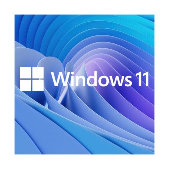 Операционна система, Microsoft, Windows 11 Pro, USB, български, лицензиран, 1 потребител