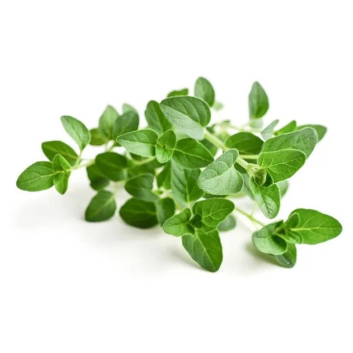 Hrana pentru cai, Equiherbs, Oregano, 500g, 100% natural