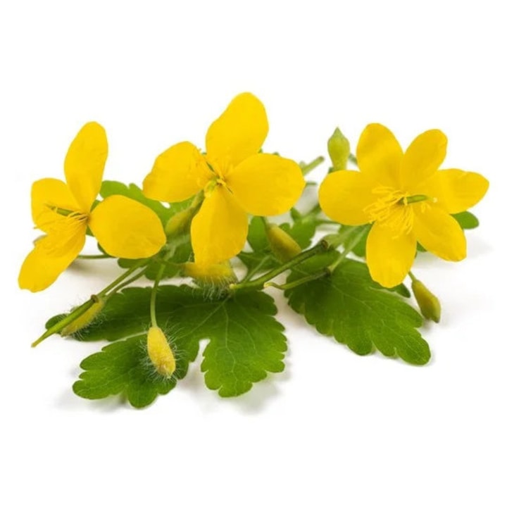 Rostopasca pentru cai, Equiherbs, 500g, natural