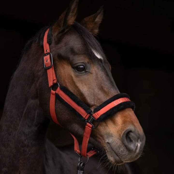 Kantar Covalliero, 25AW, fém szürke, PONY méret, strapabíró anyag, puha bélés