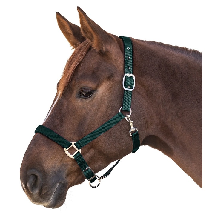 Capastru cal, Waldhausen Satin, verde, SHETTY, cu captuseala moale, reglabil