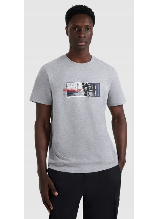 Férfi póló 4F, pamut anyag, szürke, 2XL INTL