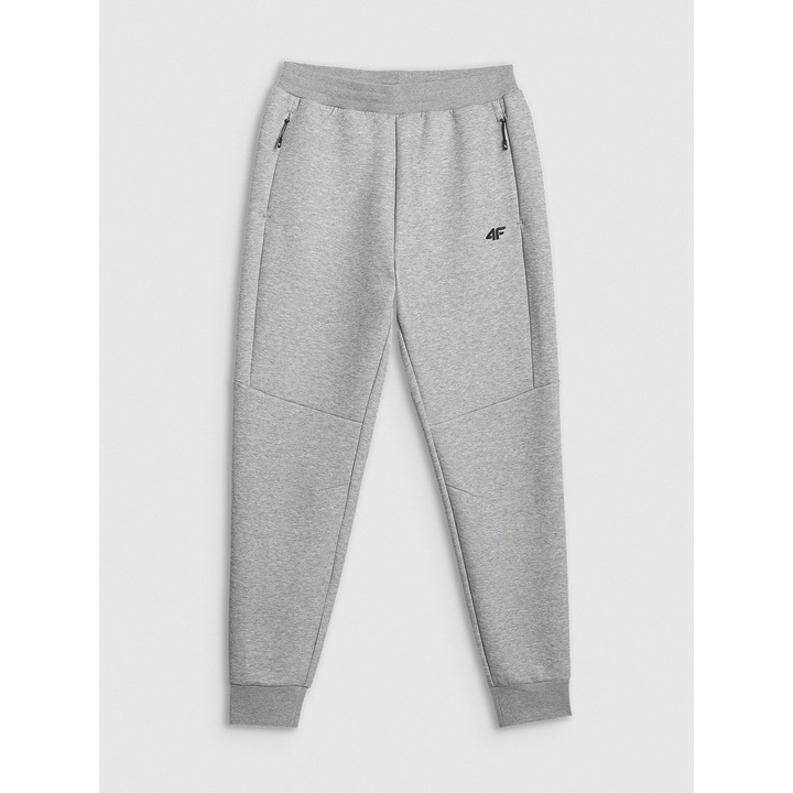 Pantaloni de sport barbati, 4F, bumbac, gri, XL INTL