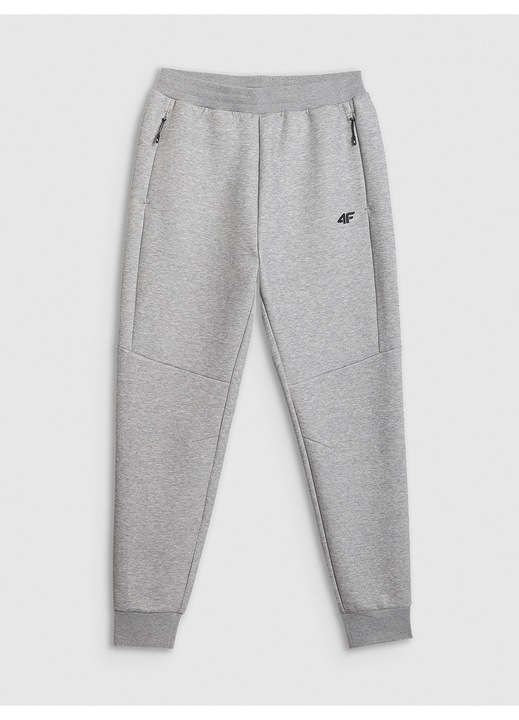 Pantaloni barbati, 4F, bumbac, culoare gri, 2XL INTL