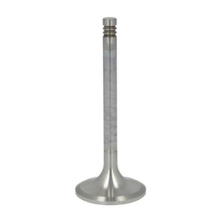 Supapa admisie Fendt TRW F384.200.210.090