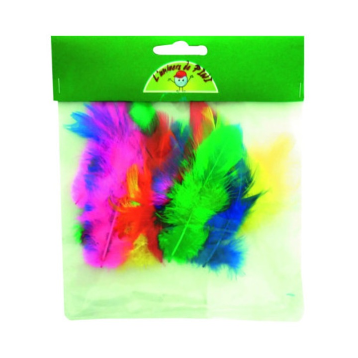 Set 20 pene decorative 7 cm intens