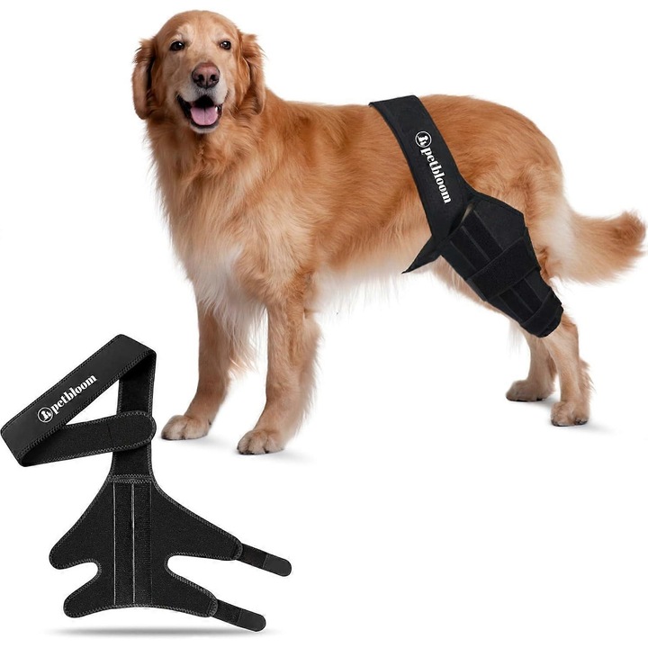 Brant ortopedic pentru genunchi caini, suport ajustabil, neopren, pentru recuperare leziuni, artrita