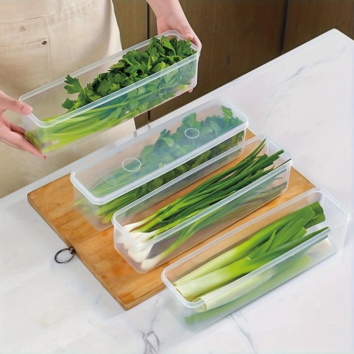 Set de 4 cutii alimentare din plastic transparent, cu capac etans, dimensiuni 10x2.75x2.16 in