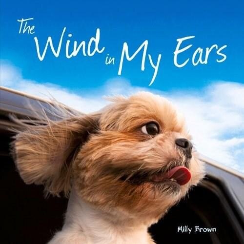 The Wind in My Ears - Milly Brown