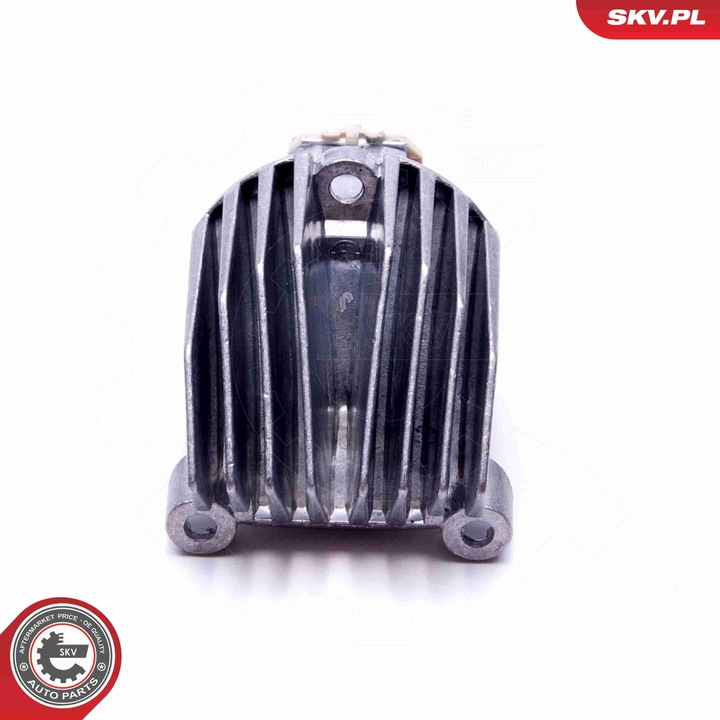 Modul LED, SKV, lumina de zi, compatibil BMW 5 (F10 F11)