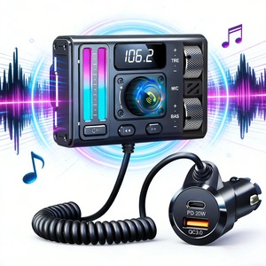 Accesorii electronice auto