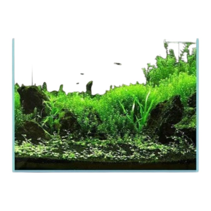 Set complet acvariu 40cm din sticla super transparenta, cu pompa silentioasa si filtrare. Ideal pentru incepatori