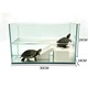 Set complet acvariu 30cm din sticla super transparenta, cu pompa silentioasa si filtrare