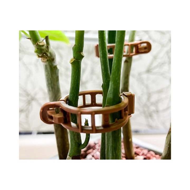 Set 500 Bucati Clipsuri Fixare Plante TOP CORTURI®, Clipsuri Fixare ...