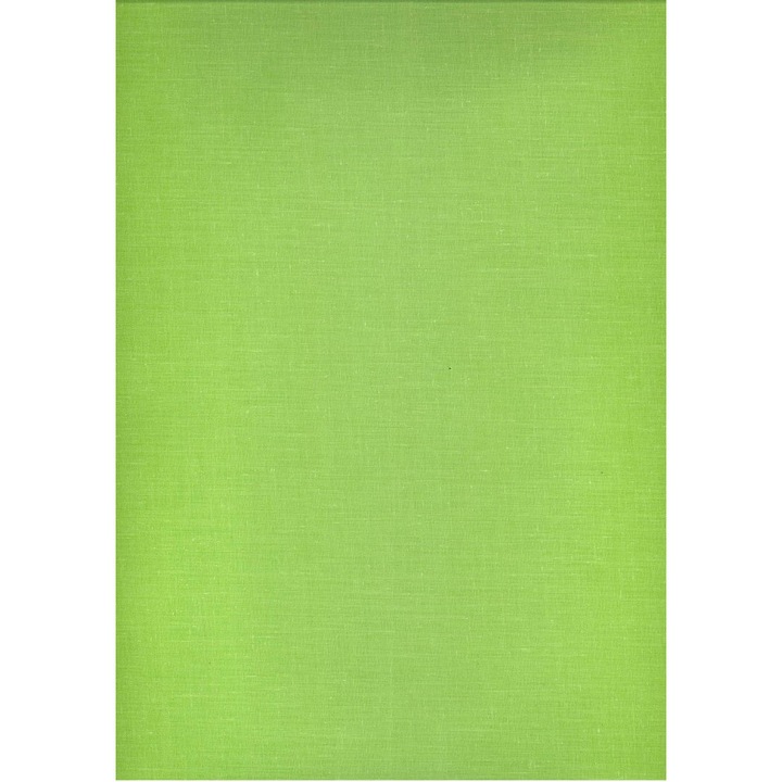 Cearsaf din bumbac 160x200 verde 13 uni