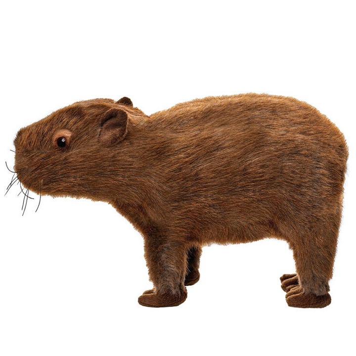 Jucarie de pluș, ramiz, Capybara 33cm