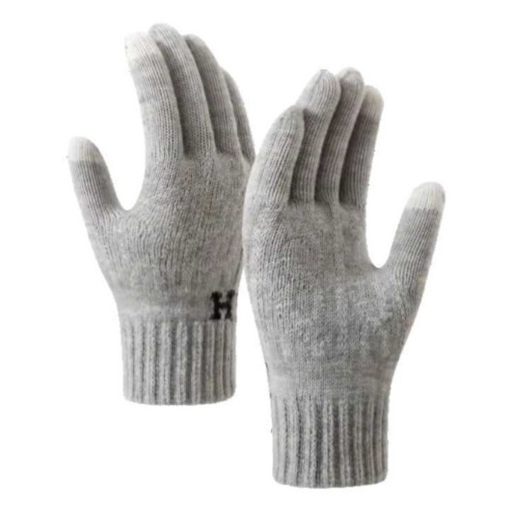 Mănuși groase pentru bărbați, G Golden Case, Model H, funcție touchscreen, gri, mărime universală, 23x14x3cm