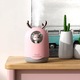 Umidificator compact, portabil, 300ml, roz, cu lumina de noapte