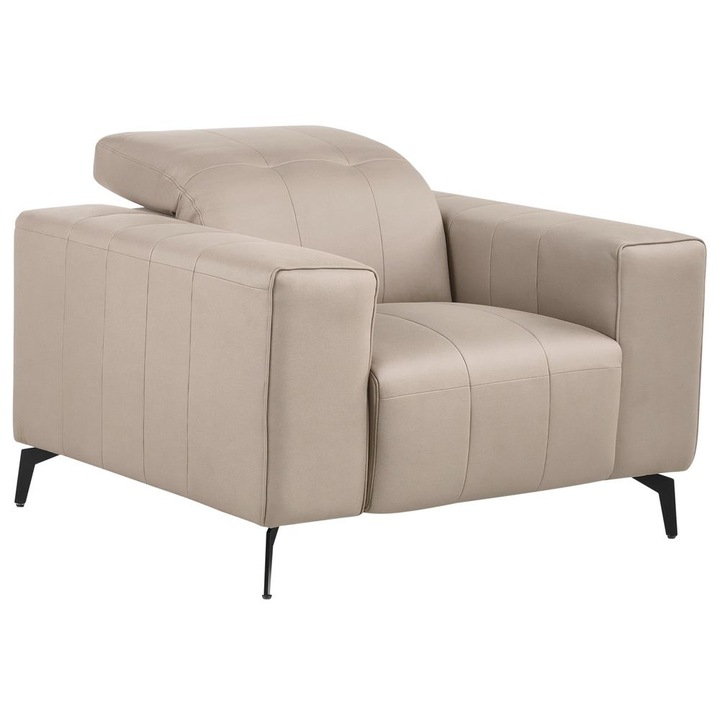 Fotel Ommel Műbőr Tópszín