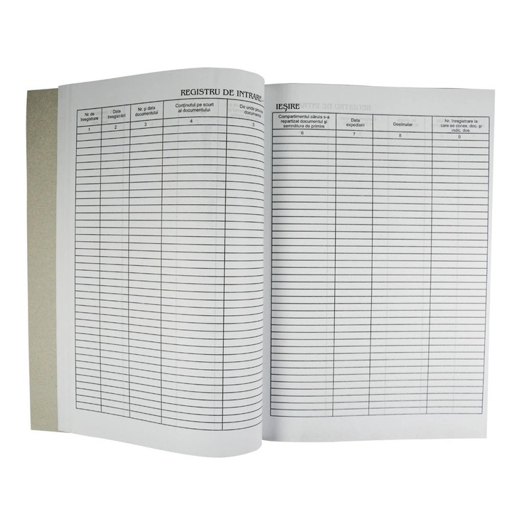 Registru intrare iesire corespondenta A4, 100 pagini, portret - coperta carton alb duplex