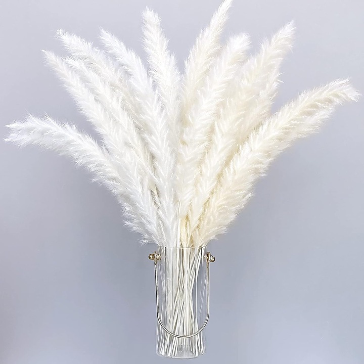 30 darabos természetes szárított pampafű készlet, 55cm, fehér, boho dekoráció