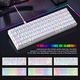 Клавиатура Gaming, 60%, RGB, LED светлини, 68 клавиша, с Type-C кабел, Red Axis суичове и 3 резервни клавиша, USB-C, Anti-Ghosting, Компактна, Преносима, Бяла, RiKbo®