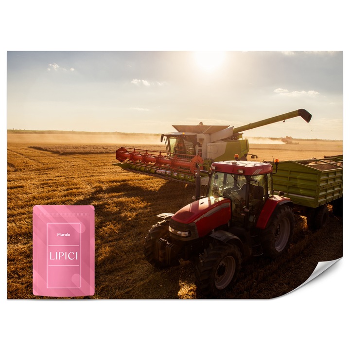 Fototapet Muralo Tractor Pe Camp 500x350 Pentru Salon Modern