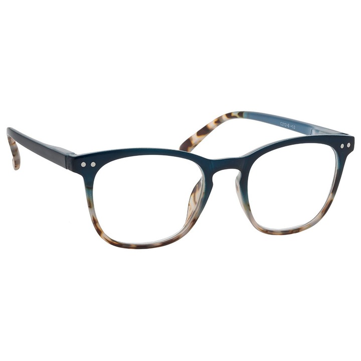 Ochelari de citit Correct+, dioptrie +1.00, plastic, pentru bărbați