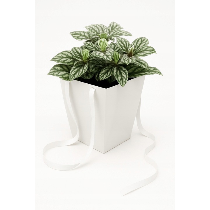 Punga de cadou din hartie, Neopak, Orice ocazie, Material Hartie, 125 mm x 125 mm x 180 mm, Culoare Alb