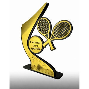 Cupe, trofee si medalii