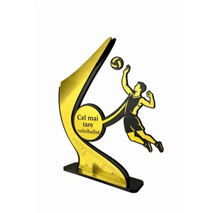 Cupe, trofee si medalii