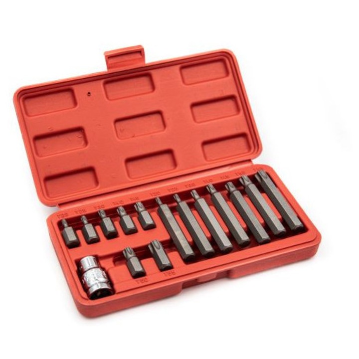 Set de biți GROSLEY TORX 15 piese
