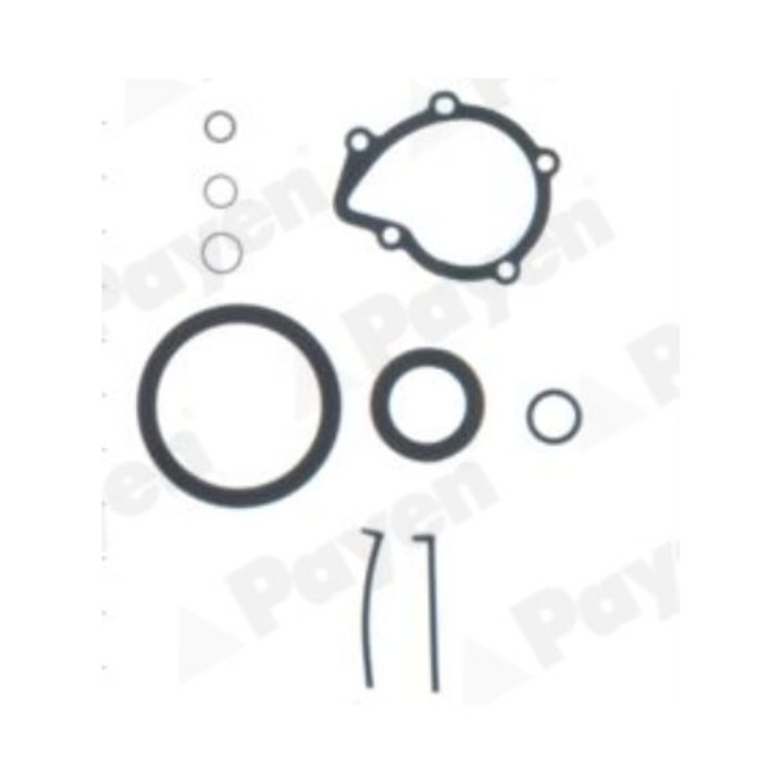 Set garnituri bloc motor PAYEN EA5830 pentru PSA 2.0D, 1996-2018