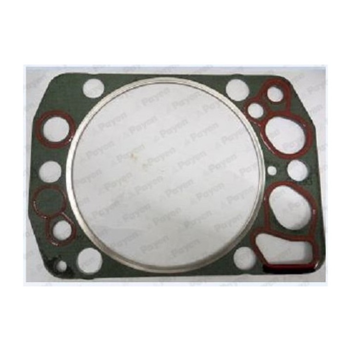 Garnitura chiulasa Payen AH5451, compatibila cu MAN si MERCEDES-BENZ, 1964-2018