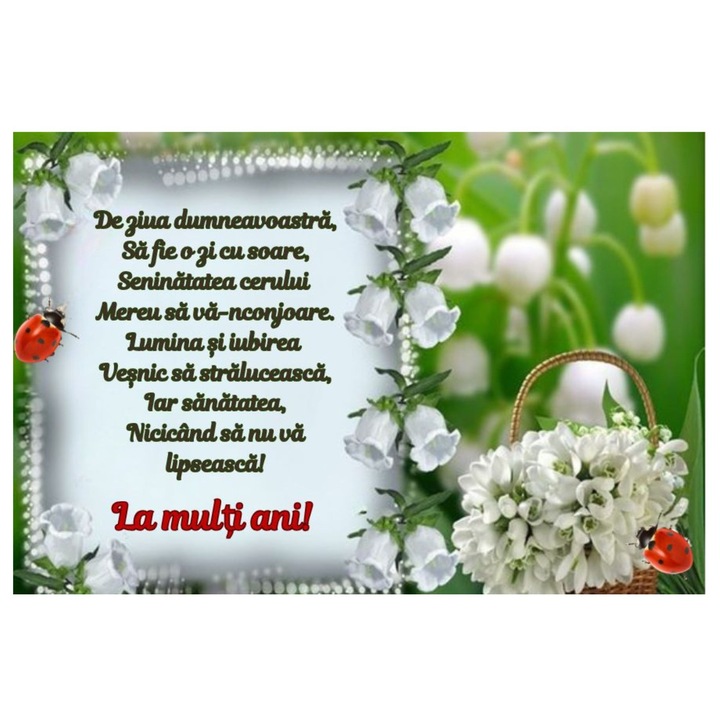 Felicitare magnet, aniversare, 1 martie, 8 martie, 10x15 cm, hartie fotografica si magnet pe toata suprafata, pronume politete, 10 bucati