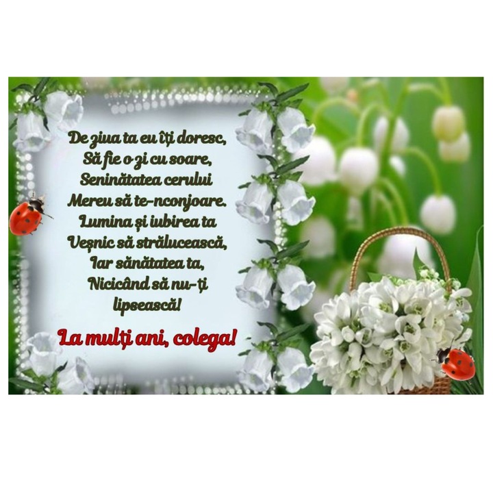 Felicitare magnet, personalizata pentru colega, aniversare, 1 martie, 8 martie, 10x15 cm, hartie fotografica si magnet pe toata suprafata