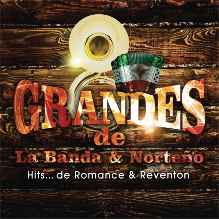 Grandes De La Banda Y Norteno: Hits De Romance Y [CD]