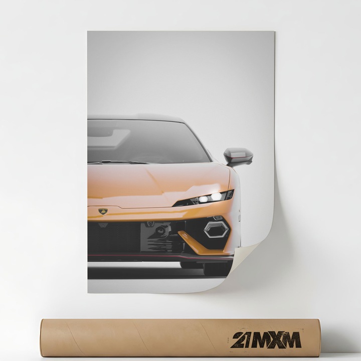 2025 Temerario-16, Премиум Платно за Кола – Минималистичен Дизайн, 30 x 40 см, Без Рамка