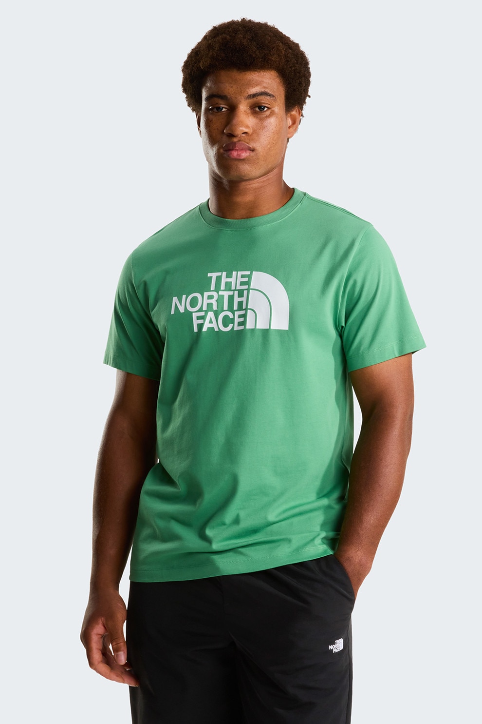 The North Face, Tricou cu decolteu la baza gatului si imprimeu logo Evolution, Alb, Verde, M
