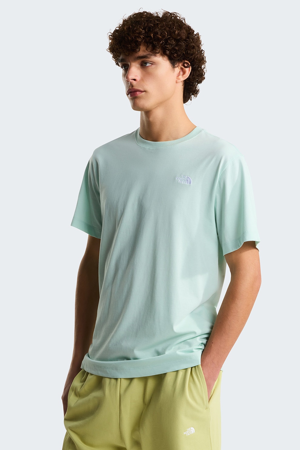 The North Face, Tricou din bumbac cu logo Evolution, Verde menta, M