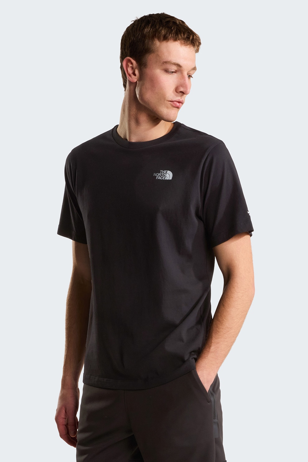 The North Face, Tricou cu decolteu la baza gatului si imprimeu pe partea din spate, Negru, Gri deschis, XL