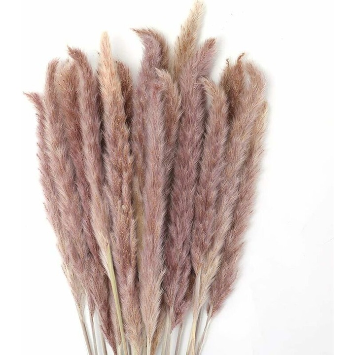 Szárított Pampas virágcsokor, 30 db, 45 cm, Boho dekoráció, vázákhoz, szobába, esküvőre, fotózáshoz