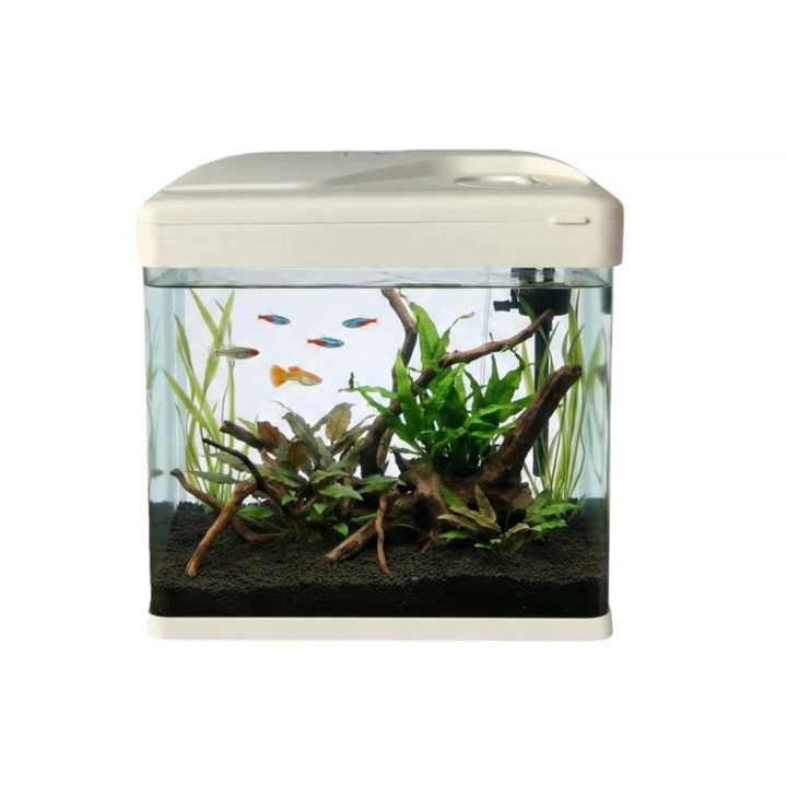 Acvariu Complet 7L pentru Betta - Kit Start-Up cu Sticla HD Curbata, Filtru si LED Multicolor - Ideal Incepatori si Copii (21x15.5cm)