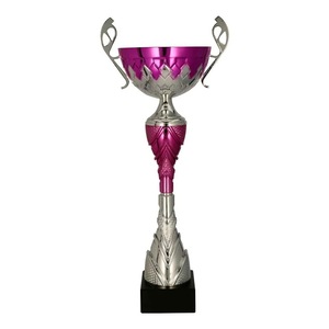 Cupe, trofee si medalii