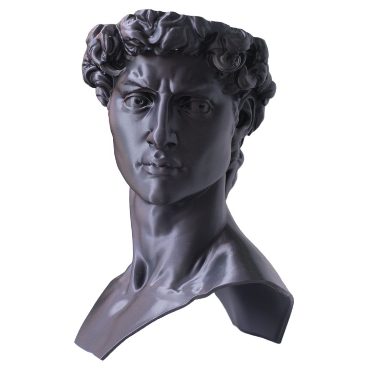 Sculptură 3D David, negru, design modern-minimalist, decorativă
