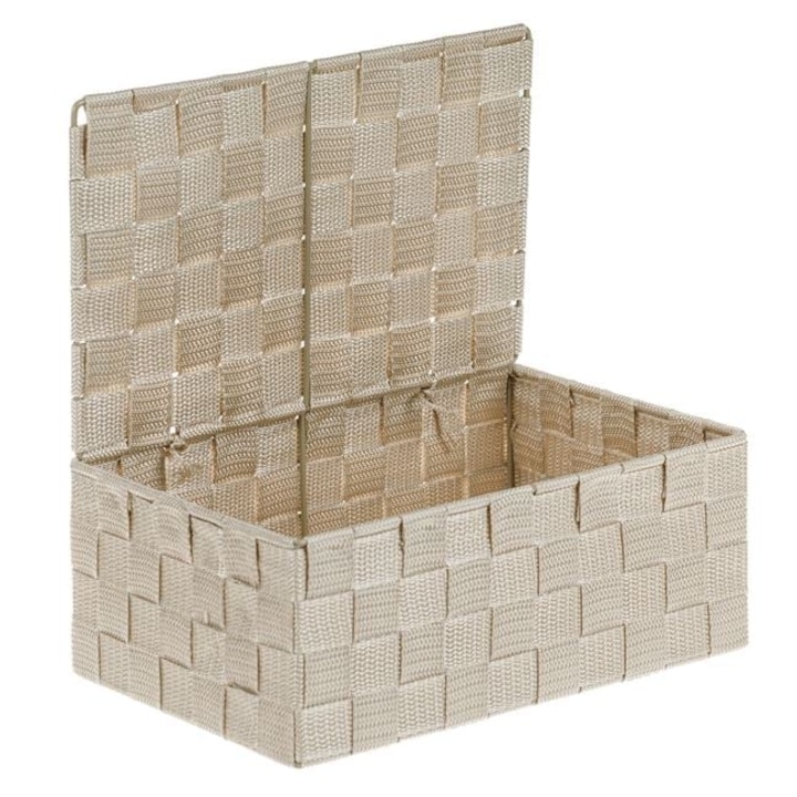 Cos Depozitare Impletit Bej cu Capac Tip Ratan cu Cadru Metalic Organizare Casa Baie Birou 27.5x17.5x11cm
